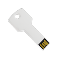 Flash Key USB Drive